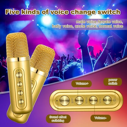 Gold Karaoke Machine with 2 Wireless Microphones Bluetooth-Compatible 5.0 for Parties